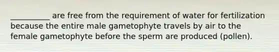 __________ are free from the requirement of water for fertilization because the entire male gametophyte travels by air to the female gametophyte before the sperm are produced (pollen).