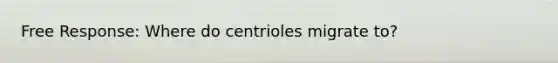 Free Response: Where do centrioles migrate to?