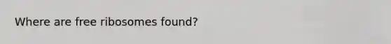 Where are free ribosomes found?