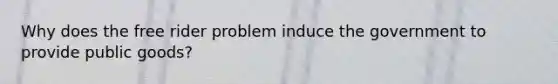Why does the free rider problem induce the government to provide public goods?