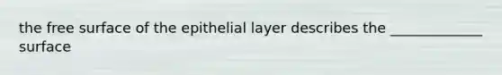 the free surface of the epithelial layer describes the _____________ surface