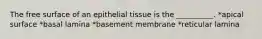 The free surface of an epithelial tissue is the __________. *apical surface *basal lamina *basement membrane *reticular lamina