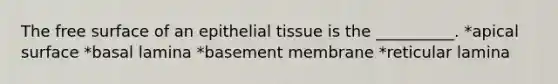 The free surface of an epithelial tissue is the __________. *apical surface *basal lamina *basement membrane *reticular lamina