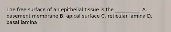 The free surface of an <a href='https://www.questionai.com/knowledge/k7dms5lrVY-epithelial-tissue' class='anchor-knowledge'>epithelial tissue</a> is the __________. A. basement membrane B. apical surface C. reticular lamina D. basal lamina