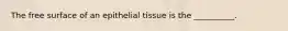 The free surface of an epithelial tissue is the __________.