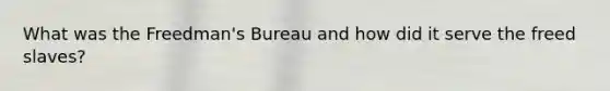 What was the Freedman's Bureau and how did it serve the freed slaves?