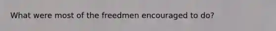 What were most of the freedmen encouraged to do?