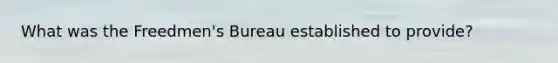 What was the Freedmen's Bureau established to provide?