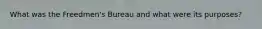 What was the Freedmen's Bureau and what were its purposes?
