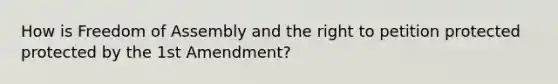 How is Freedom of Assembly and the right to petition protected protected by the 1st Amendment?