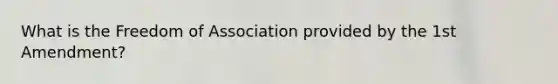 What is the Freedom of Association provided by the 1st Amendment?