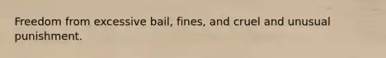 Freedom from excessive bail, fines, and cruel and unusual punishment.