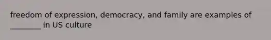 freedom of expression, democracy, and family are examples of ________ in US culture