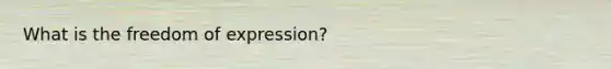 What is the freedom of expression?