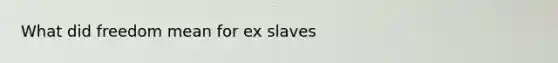 What did freedom mean for ex slaves