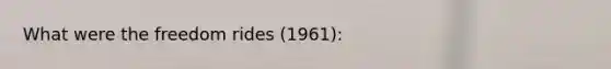 What were the freedom rides (1961):
