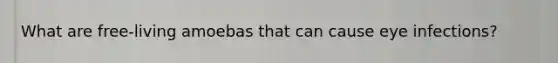 What are free-living amoebas that can cause eye infections?