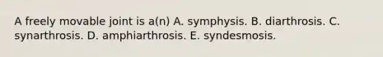 A freely movable joint is a(n) A. symphysis. B. diarthrosis. C. synarthrosis. D. amphiarthrosis. E. syndesmosis.