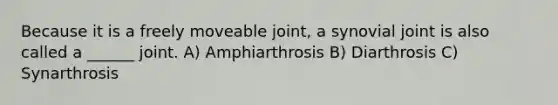 Because it is a freely moveable joint, a synovial joint is also called a ______ joint. A) Amphiarthrosis B) Diarthrosis C) Synarthrosis