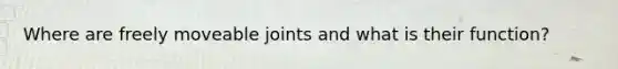 Where are freely moveable joints and what is their function?