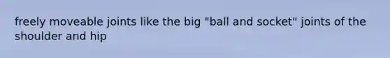 freely moveable joints like the big "ball and socket" joints of the shoulder and hip