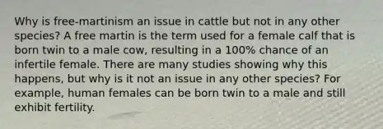 Why is free-martinism an issue in cattle but not in any other species? A free martin is the term used for a female calf that is born twin to a male cow, resulting in a 100% chance of an infertile female. There are many studies showing why this happens, but why is it not an issue in any other species? For example, human females can be born twin to a male and still exhibit fertility.