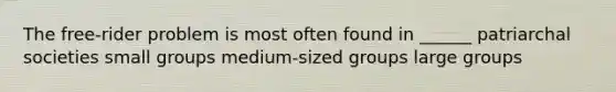 The free-rider problem is most often found in ______ patriarchal societies small groups medium-sized groups large groups