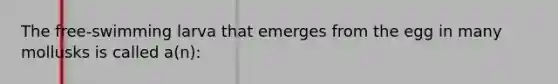 The free-swimming larva that emerges from the egg in many mollusks is called a(n):
