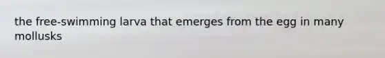 the free-swimming larva that emerges from the egg in many mollusks
