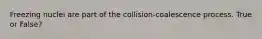 Freezing nuclei are part of the collision-coalescence process. True or False?