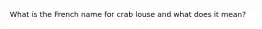 What is the French name for crab louse and what does it mean?