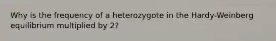 Why is the frequency of a heterozygote in the Hardy-Weinberg equilibrium multiplied by 2?