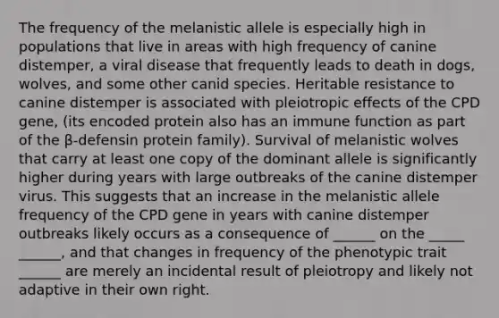 The frequency of the melanistic allele is especially high in populations that live in areas with high frequency of canine distemper, a viral disease that frequently leads to death in dogs, wolves, and some other canid species. Heritable resistance to canine distemper is associated with pleiotropic effects of the CPD gene, (its encoded protein also has an immune function as part of the β-defensin protein family). Survival of melanistic wolves that carry at least one copy of the dominant allele is significantly higher during years with large outbreaks of the canine distemper virus. This suggests that an increase in the melanistic allele frequency of the CPD gene in years with canine distemper outbreaks likely occurs as a consequence of ______ on the _____ ______, and that changes in frequency of the phenotypic trait ______ are merely an incidental result of pleiotropy and likely not adaptive in their own right.