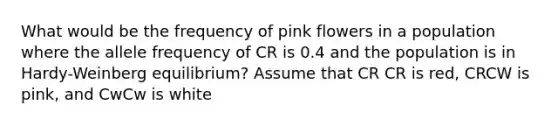 What would be the frequency of pink flowers in a population where the allele frequency of CR is 0.4 and the population is in Hardy-Weinberg equilibrium? Assume that CR CR is red, CRCW is pink, and CwCw is white