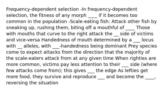 Frequency-dependent selection -In frequency-dependent selection, the fitness of any morph ____ if it becomes too common in the population -Scale-eating fish: Attack other fish by sneaking up, rushing them, biting off a mouthful of ____ Those with mouths that curve to the right attack the __ side of victims and vice-versa Handedness of mouth determined by a ___ locus with __ alleles, with ___-handedness being dominant Prey species come to expect attacks from the direction that the majority of the scale-eaters attack from at any given time When righties are more common, victims pay less attention to their ___ side (where few attacks come from); this gives ___ the edge As lefties get more food, they survive and reproduce ___ and become the ____, reversing the situation