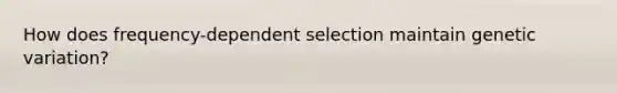 How does frequency-dependent selection maintain genetic variation?