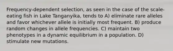 Frequency-dependent selection, as seen in the case of the scale-eating fish in Lake Tanganyika, tends to A) eliminate rare alleles and favor whichever allele is initially most frequent. B) produce random changes in allele frequencies. C) maintain two phenotypes in a dynamic equilibrium in a population. D) stimulate new mutations.