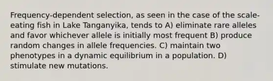 Frequency-dependent selection, as seen in the case of the scale-eating fish in Lake Tanganyika, tends to A) eliminate rare alleles and favor whichever allele is initially most frequent B) produce random changes in allele frequencies. C) maintain two phenotypes in a dynamic equilibrium in a population. D) stimulate new mutations.