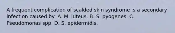 A frequent complication of scalded skin syndrome is a secondary infection caused by: A. M. luteus. B. S. pyogenes. C. Pseudomonas spp. D. S. epidermidis.