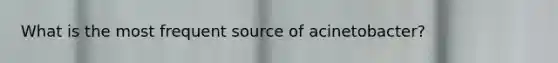 What is the most frequent source of acinetobacter?