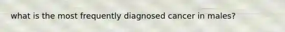 what is the most frequently diagnosed cancer in males?