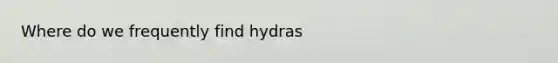 Where do we frequently find hydras