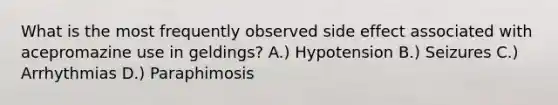 What is the most frequently observed side effect associated with acepromazine use in geldings? A.) Hypotension B.) Seizures C.) Arrhythmias D.) Paraphimosis