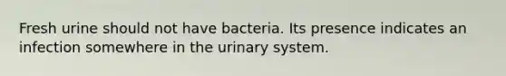 Fresh urine should not have bacteria. Its presence indicates an infection somewhere in the urinary system.