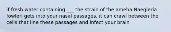 if fresh water containing ___ the strain of the ameba Naegleria fowleri gets into your nasal passages, it can crawl between the cells that line these passages and infect your brain