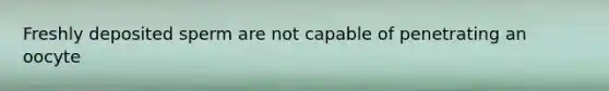 Freshly deposited sperm are not capable of penetrating an oocyte