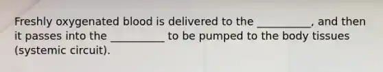 Freshly oxygenated blood is delivered to the __________, and then it passes into the __________ to be pumped to the body tissues (systemic circuit).