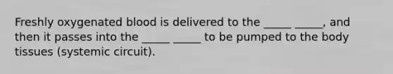 Freshly oxygenated blood is delivered to the _____ _____, and then it passes into the _____ _____ to be pumped to the body tissues (systemic circuit).