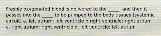 Freshly oxygenated blood is delivered to the _____, and then it passes into the _____ to be pumped to the body tissues (systemic circuit) a. left atrium; left ventricle b right ventricle; right atrium c. right atrium; right ventricle d. left ventricle; left atrium