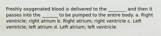 Freshly oxygenated blood is delivered to the ________ and then it passes into the _______ to be pumped to the entire body. a. Right ventricle; right atrium b. Right atrium; right ventricle c. Left ventricle; left atrium d. Left atrium; left ventricle